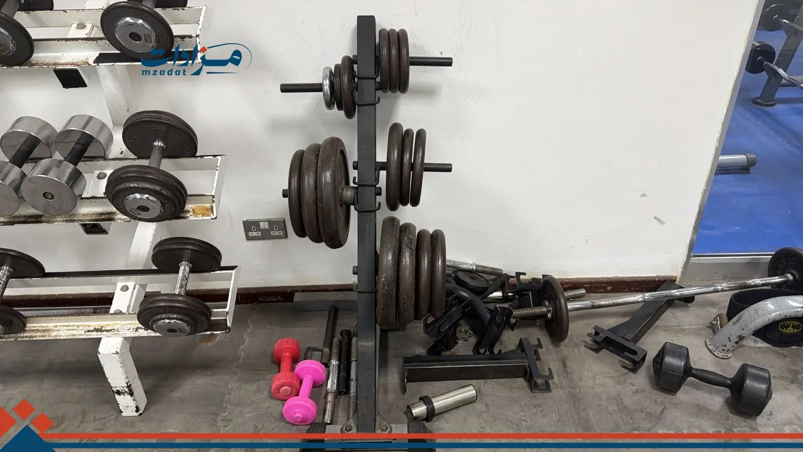 9- Squat Machine + Weight Plates (34) + Weight Stand (3) - 4