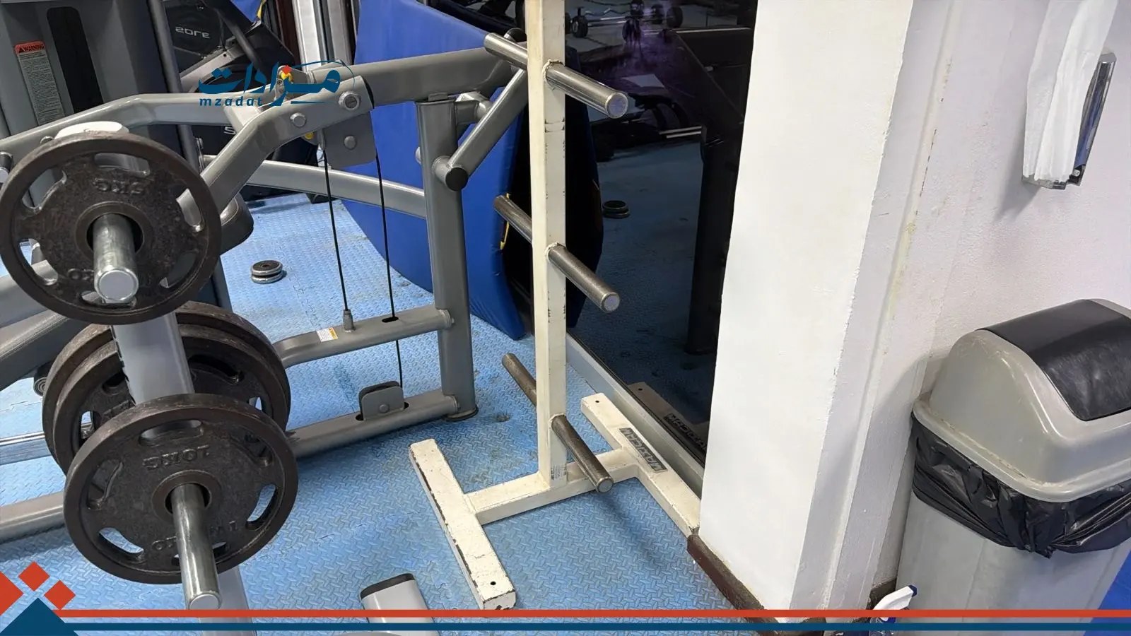 9- Squat Machine + Weight Plates (34) + Weight Stand (3) - 5