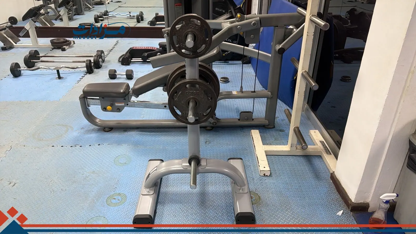 9- Squat Machine + Weight Plates (34) + Weight Stand (3) - 6