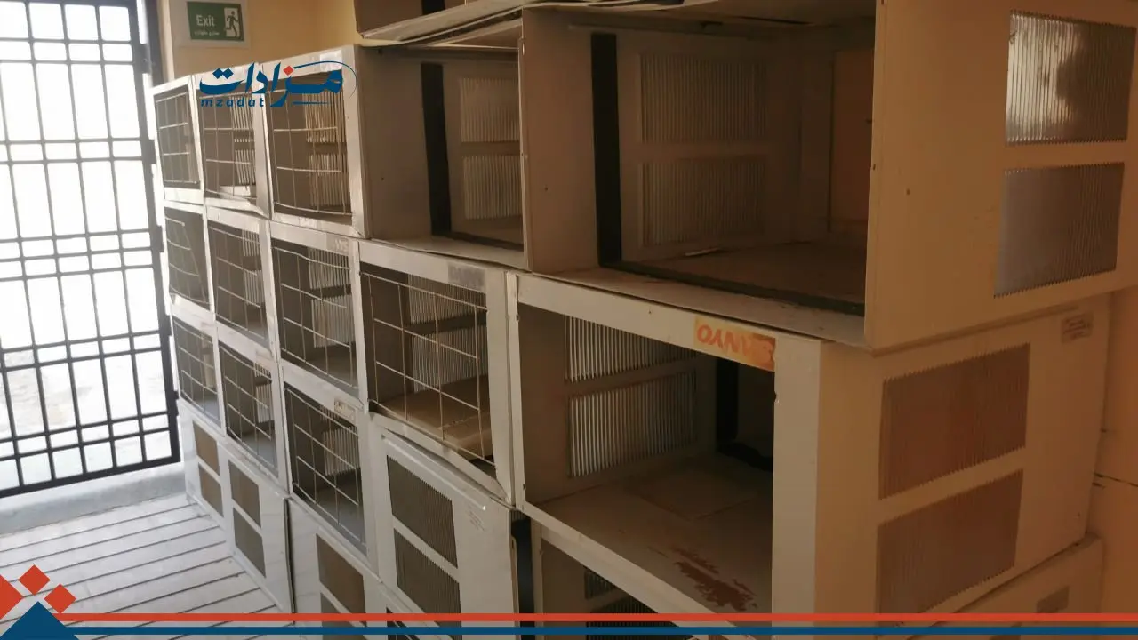 2-Fathkhit School - 2