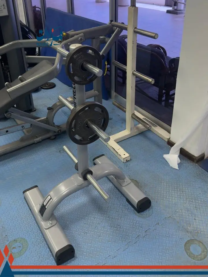 9- Squat Machine + Weight Plates (34) + Weight Stand (3) - 2