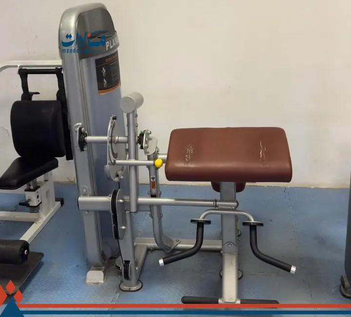 6- Workout Benches (4) + Biceps Machine + Abdominal Machine + Exercise Bench - 5