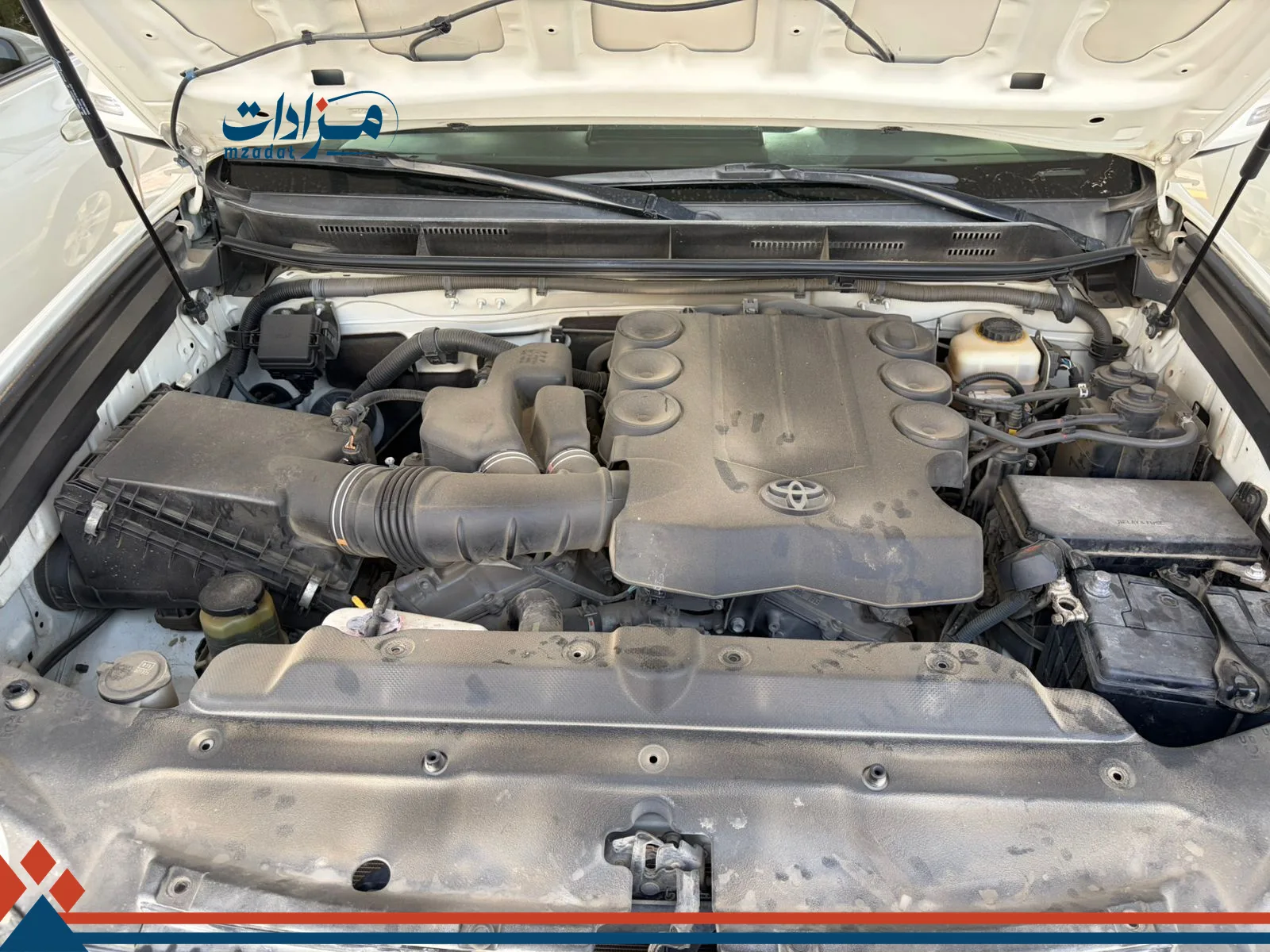 3- Toyota Prado - 6