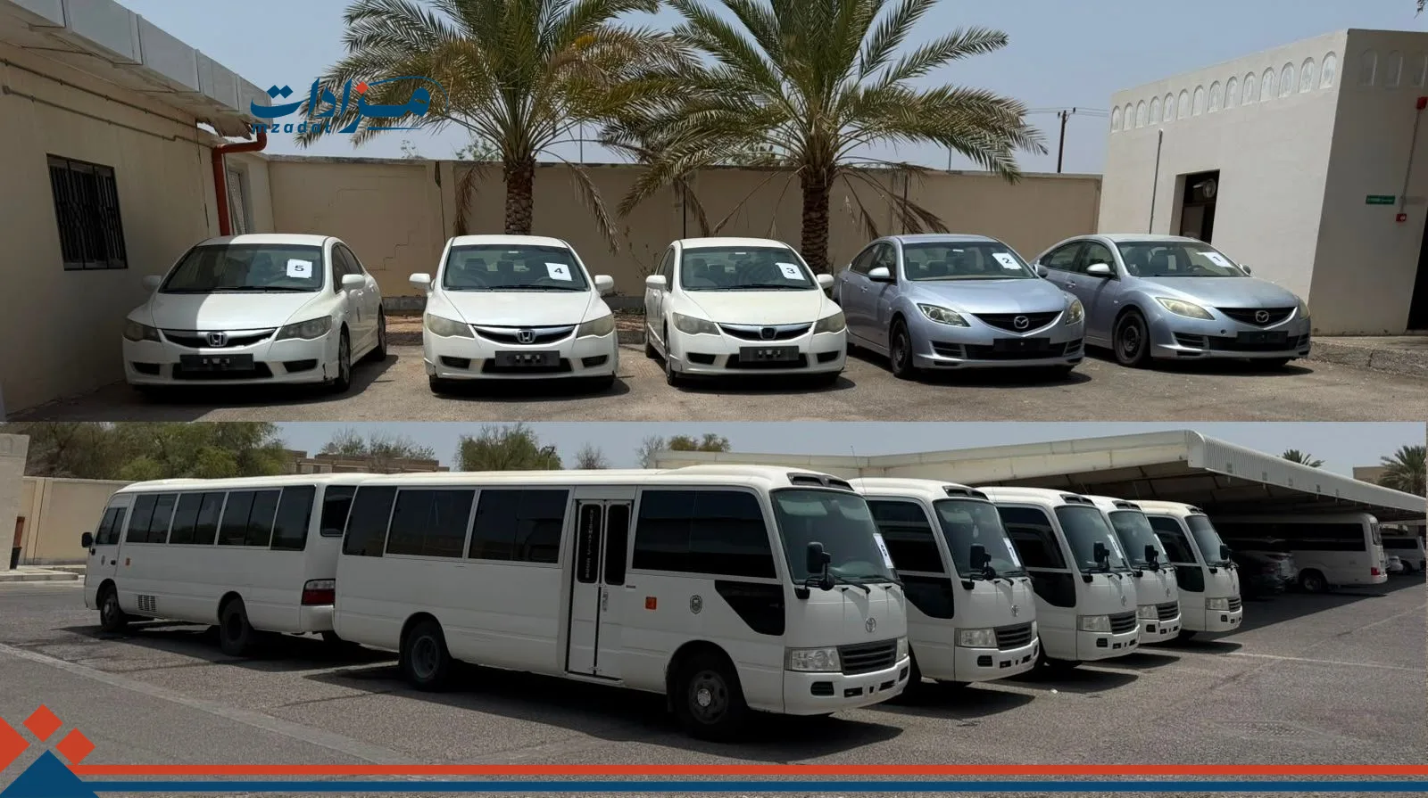 Used Cars and Buses