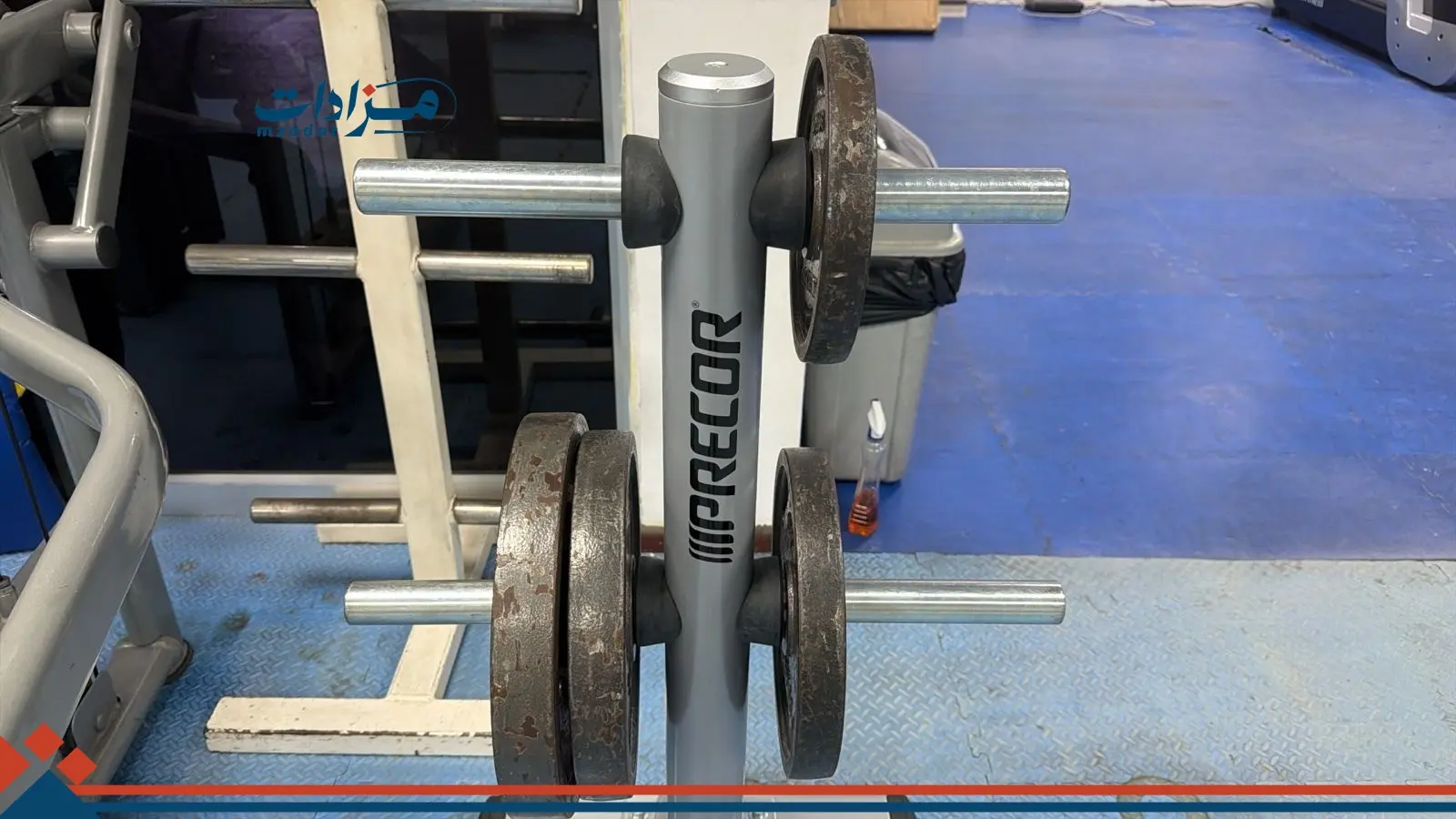 9- Squat Machine + Weight Plates (34) + Weight Stand (3) - 7